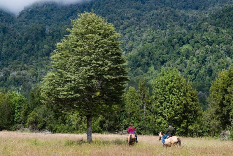 Yelcho En La Patagonia Βίλα Chaitén Εξωτερικό φωτογραφία